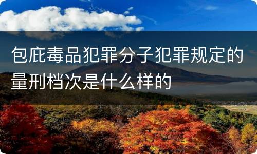 包庇毒品犯罪分子犯罪规定的量刑档次是什么样的