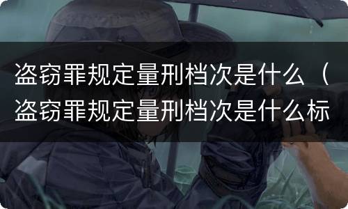 盗窃罪规定量刑档次是什么（盗窃罪规定量刑档次是什么标准）