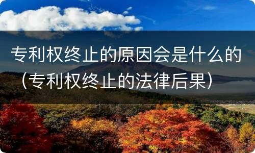 专利权终止的原因会是什么的（专利权终止的法律后果）