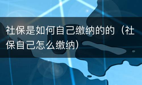 社保是如何自己缴纳的的（社保自己怎么缴纳）