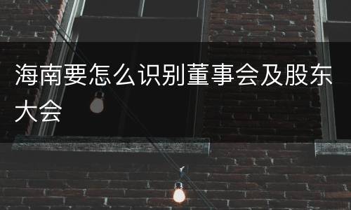 海南要怎么识别董事会及股东大会