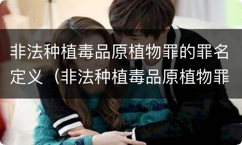 非法种植毒品原植物罪的罪名定义（非法种植毒品原植物罪的罪名定义是）