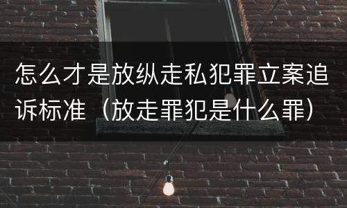 怎么才是放纵走私犯罪立案追诉标准（放走罪犯是什么罪）
