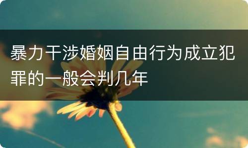 暴力干涉婚姻自由行为成立犯罪的一般会判几年