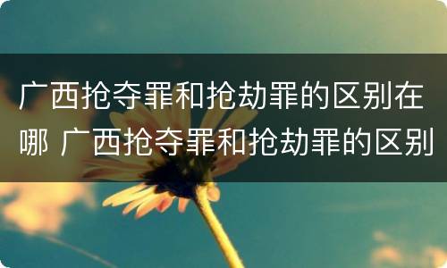广西抢夺罪和抢劫罪的区别在哪 广西抢夺罪和抢劫罪的区别在哪里