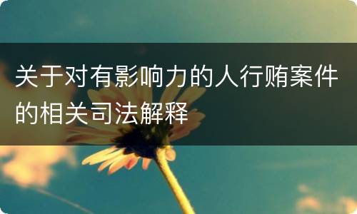 关于对有影响力的人行贿案件的相关司法解释