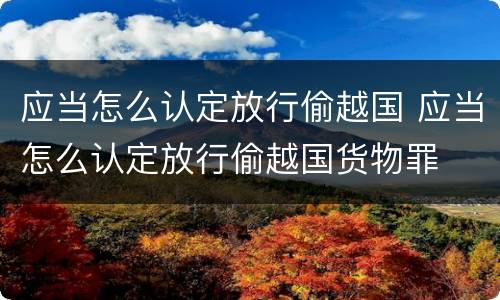 应当怎么认定放行偷越国 应当怎么认定放行偷越国货物罪