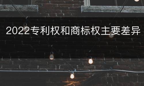 2022专利权和商标权主要差异