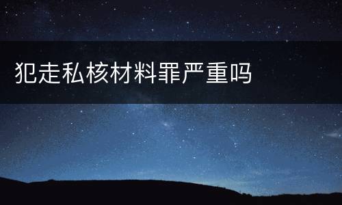 犯走私核材料罪严重吗