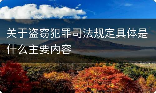 关于盗窃犯罪司法规定具体是什么主要内容