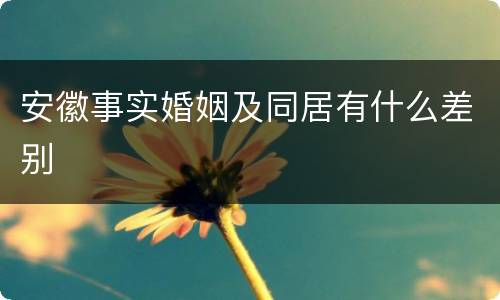 安徽事实婚姻及同居有什么差别