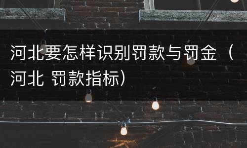 河北要怎样识别罚款与罚金（河北 罚款指标）