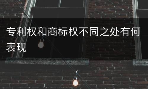 专利权和商标权不同之处有何表现