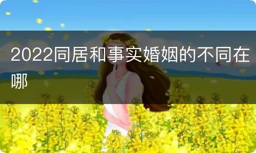 2022同居和事实婚姻的不同在哪