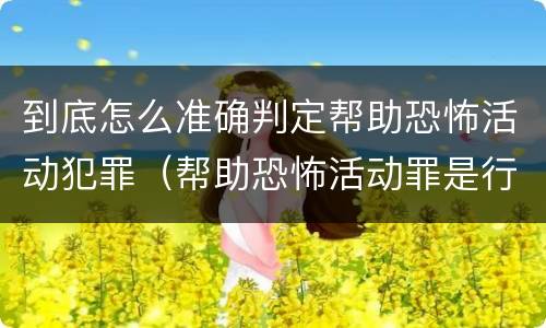 到底怎么准确判定帮助恐怖活动犯罪（帮助恐怖活动罪是行为犯吗）