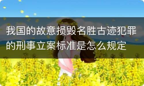 我国的故意损毁名胜古迹犯罪的刑事立案标准是怎么规定
