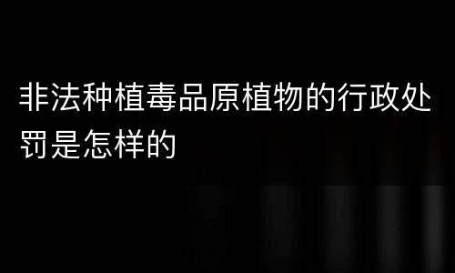 非法种植毒品原植物的行政处罚是怎样的