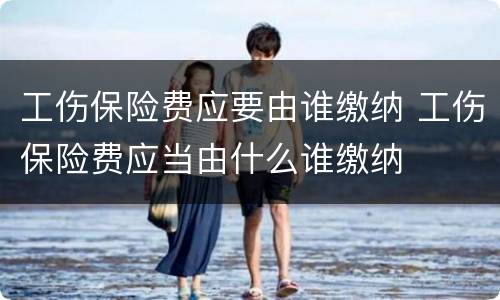 工伤保险费应要由谁缴纳 工伤保险费应当由什么谁缴纳