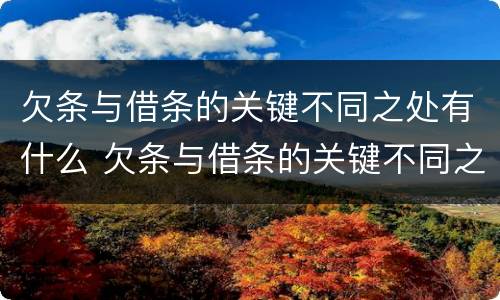 欠条与借条的关键不同之处有什么 欠条与借条的关键不同之处有什么影响