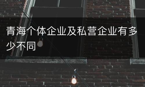 青海个体企业及私营企业有多少不同