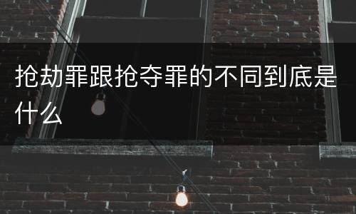 抢劫罪跟抢夺罪的不同到底是什么