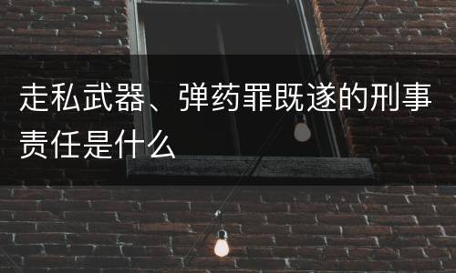 走私武器、弹药罪既遂的刑事责任是什么