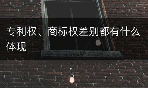 专利权、商标权差别都有什么体现