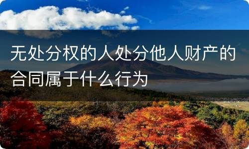 无处分权的人处分他人财产的合同属于什么行为