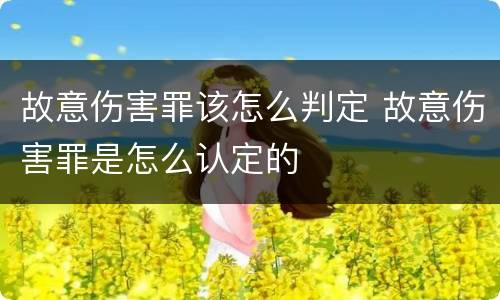 故意伤害罪该怎么判定 故意伤害罪是怎么认定的