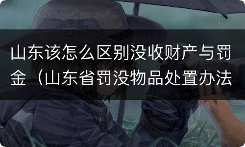 山东该怎么区别没收财产与罚金（山东省罚没物品处置办法）