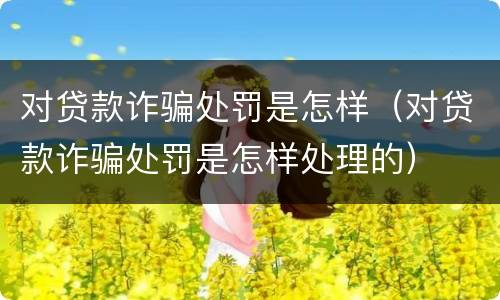 对贷款诈骗处罚是怎样（对贷款诈骗处罚是怎样处理的）