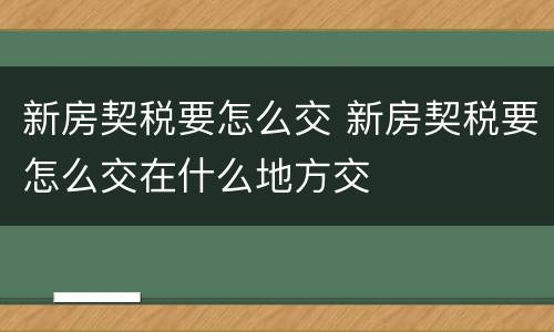 新房契税要怎么交 新房契税要怎么交在什么地方交