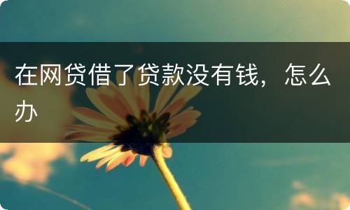 在网贷借了贷款没有钱，怎么办