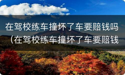 在驾校练车撞坏了车要赔钱吗（在驾校练车撞坏了车要赔钱吗现在）