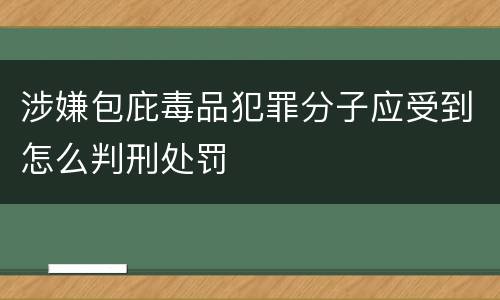 涉嫌包庇毒品犯罪分子应受到怎么判刑处罚