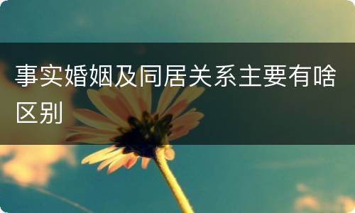 事实婚姻及同居关系主要有啥区别