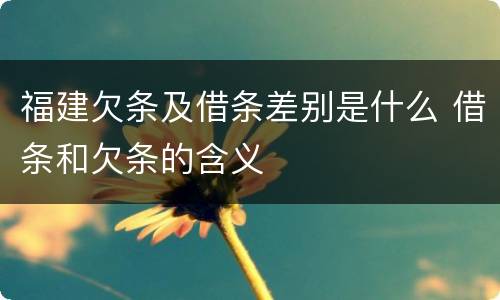 福建欠条及借条差别是什么 借条和欠条的含义