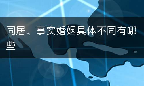 同居、事实婚姻具体不同有哪些