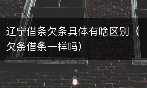 辽宁借条欠条具体有啥区别（欠条借条一样吗）