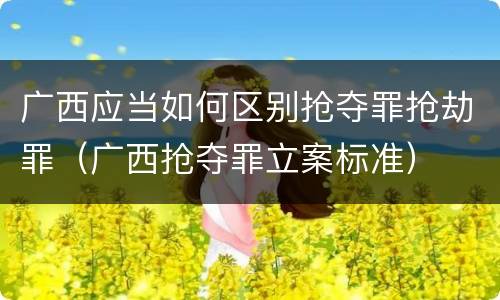 广西应当如何区别抢夺罪抢劫罪（广西抢夺罪立案标准）