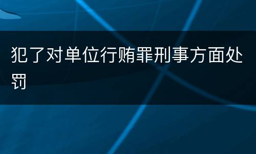 犯了对单位行贿罪刑事方面处罚