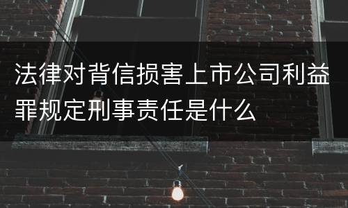 法律对背信损害上市公司利益罪规定刑事责任是什么