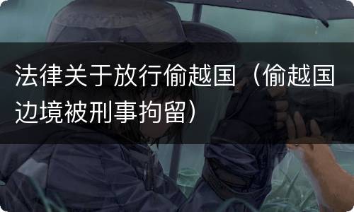 法律关于放行偷越国（偷越国边境被刑事拘留）