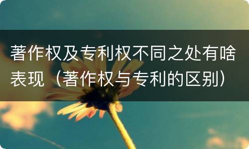 著作权及专利权不同之处有啥表现（著作权与专利的区别）