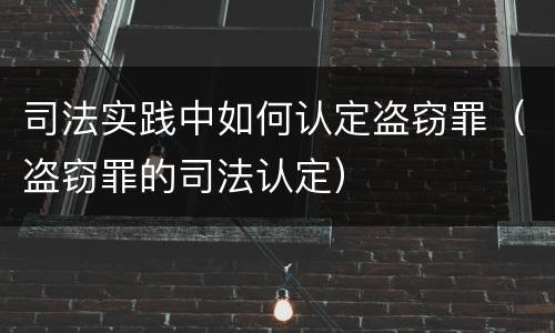 司法实践中如何认定盗窃罪（盗窃罪的司法认定）