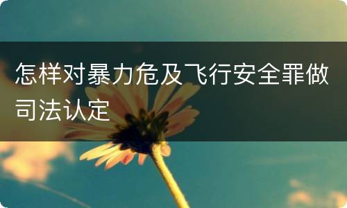 怎样对暴力危及飞行安全罪做司法认定