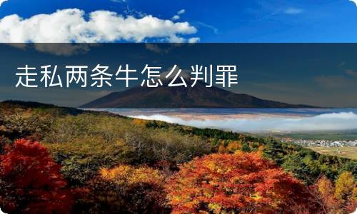 走私两条牛怎么判罪