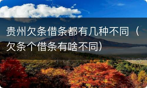贵州欠条借条都有几种不同（欠条个借条有啥不同）