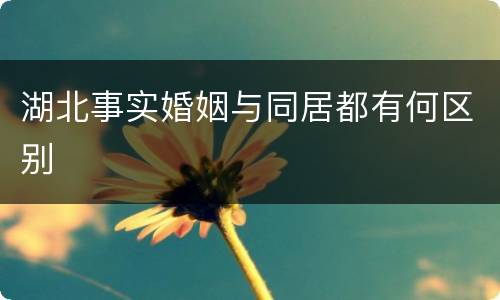 湖北事实婚姻与同居都有何区别