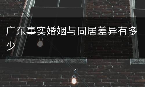 广东事实婚姻与同居差异有多少